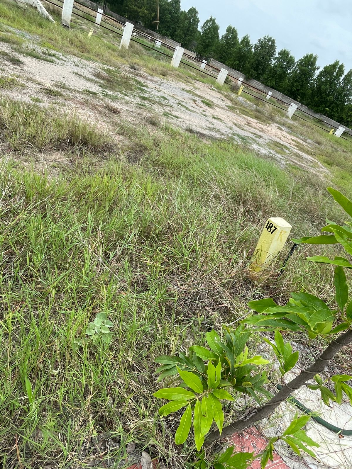 HMDA Approved Plot for Sale Near Nandigama Road Patancheruvu to Shankarpalli – Best Location, Book Now 3