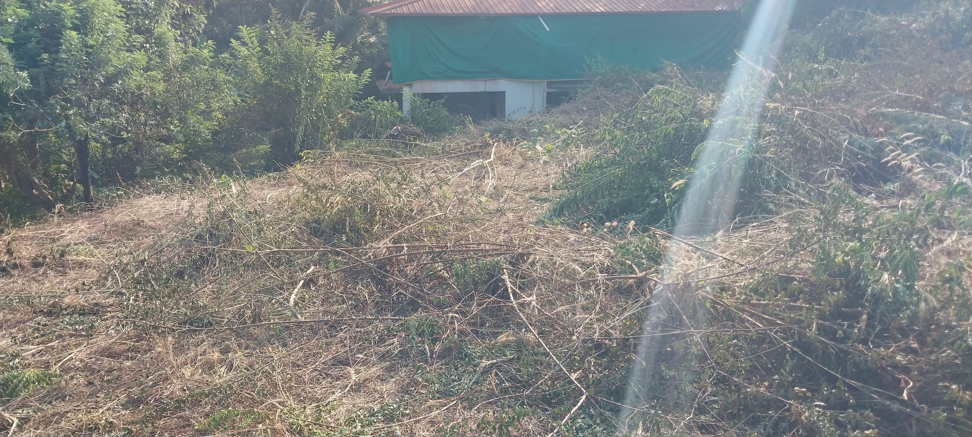 21 Cents Land for Sale at Shaktinagar Mangalore – Prime Coastal City Location, Book Now 2